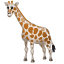 жирафа емоджі U+1F992