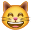 усміхнена кішка Whatsapp U+1F638