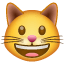 кішка що сміється емоджі U+1F63A