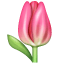 Тюльпан емоджі U+1F337